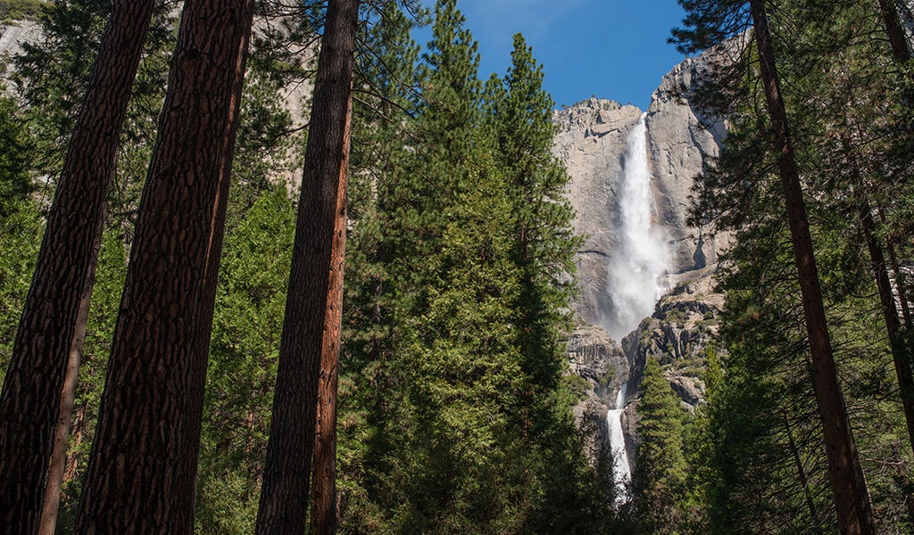 Yosemite National Park